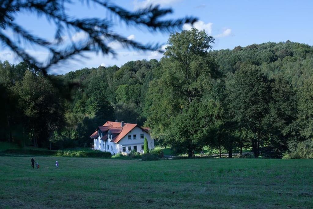 Wald-Apartment Limabach - Oberfrohna Exterior foto