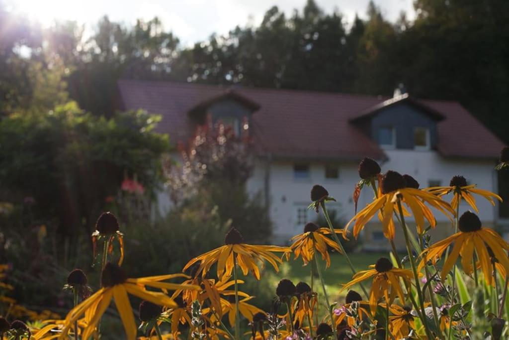 Wald-Apartment Limabach - Oberfrohna Exterior foto