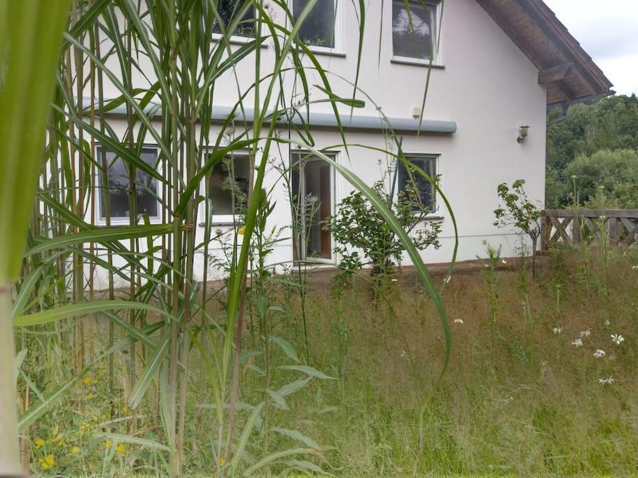 Wald-Apartment Limabach - Oberfrohna Exterior foto
