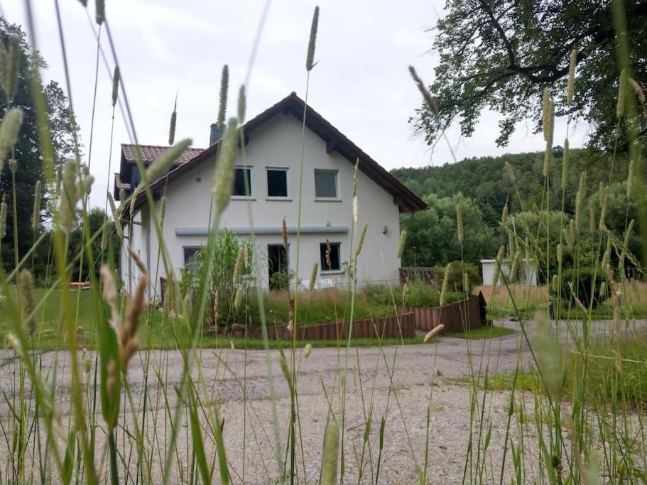 Wald-Apartment Limabach - Oberfrohna Exterior foto