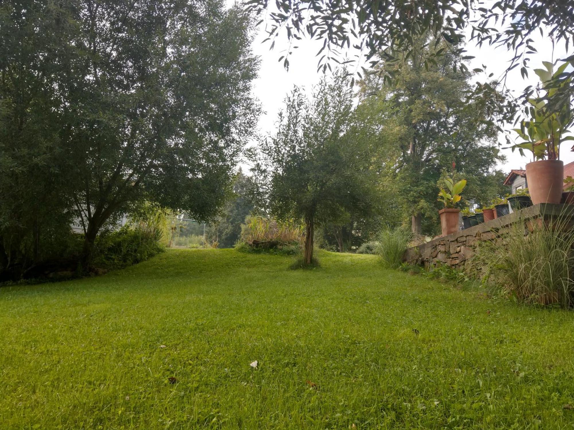 Wald-Apartment Limabach - Oberfrohna Exterior foto